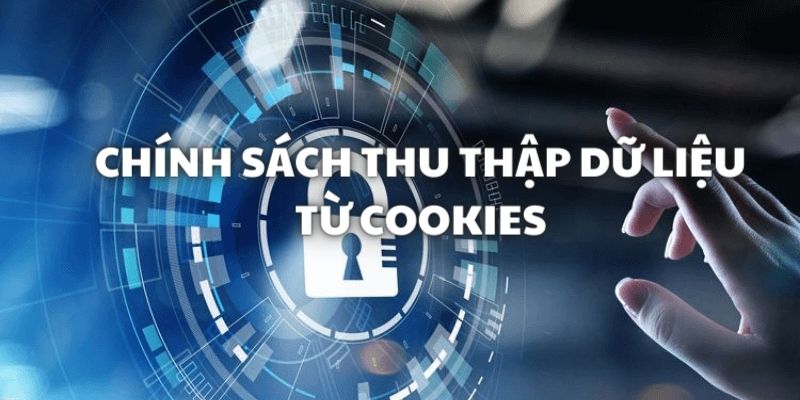 Chính sách bảo mật trong các tính năng Cookies, Media